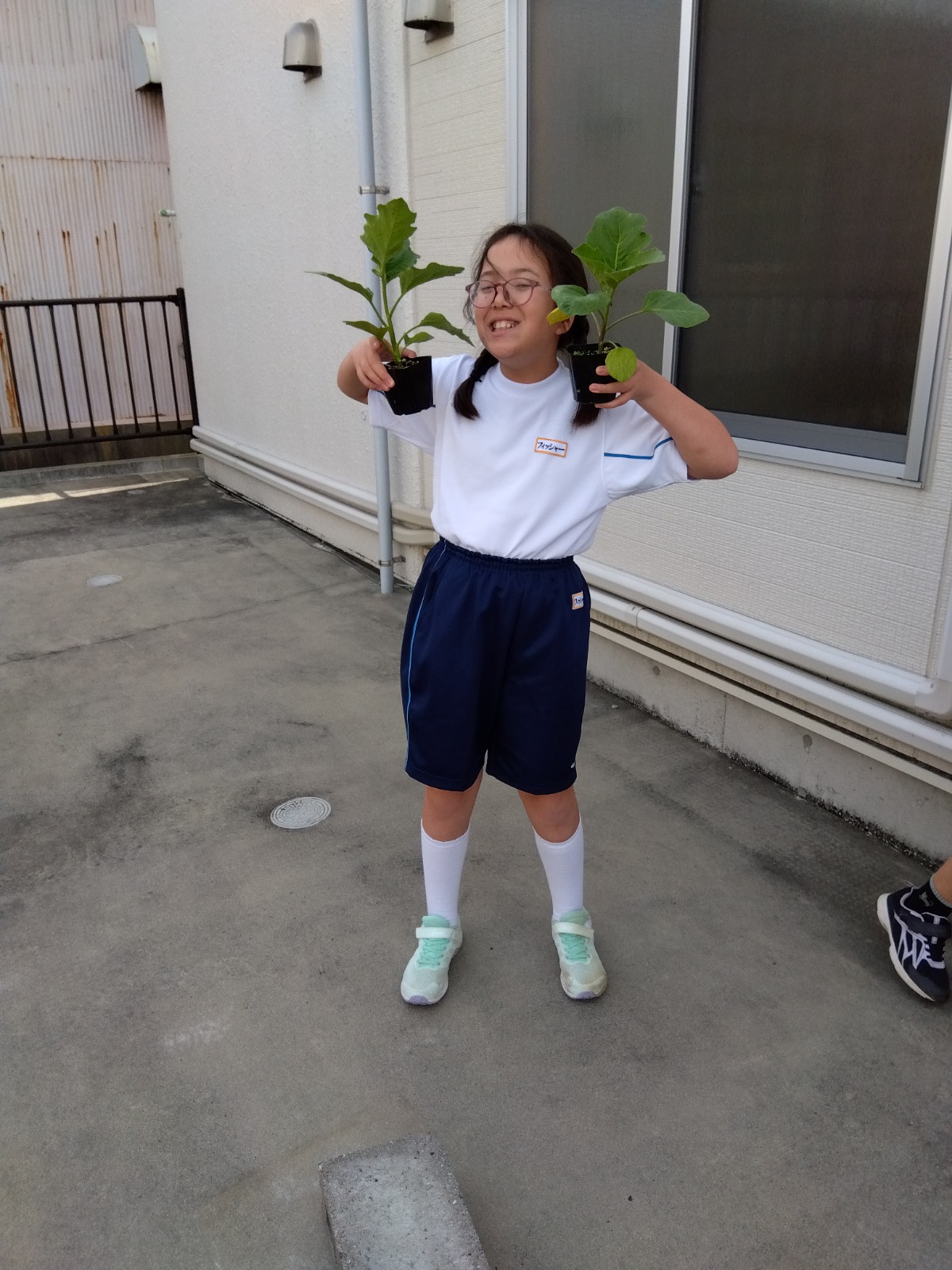 夏野菜、植えました！