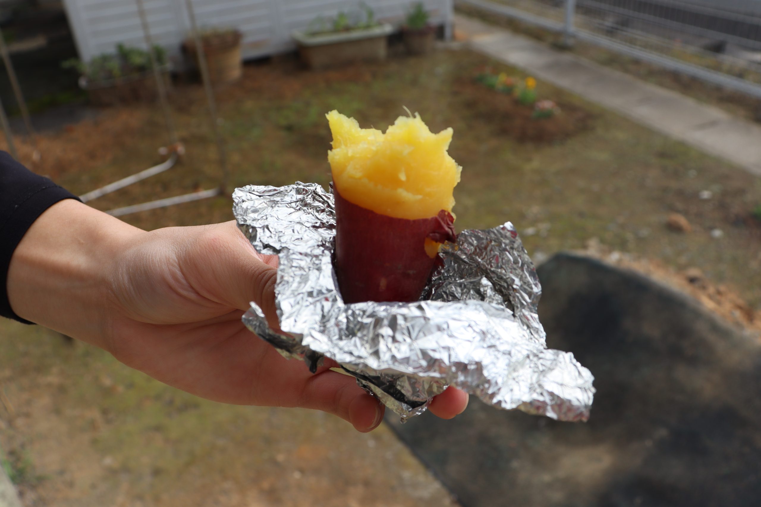 【デイ】焼き芋会