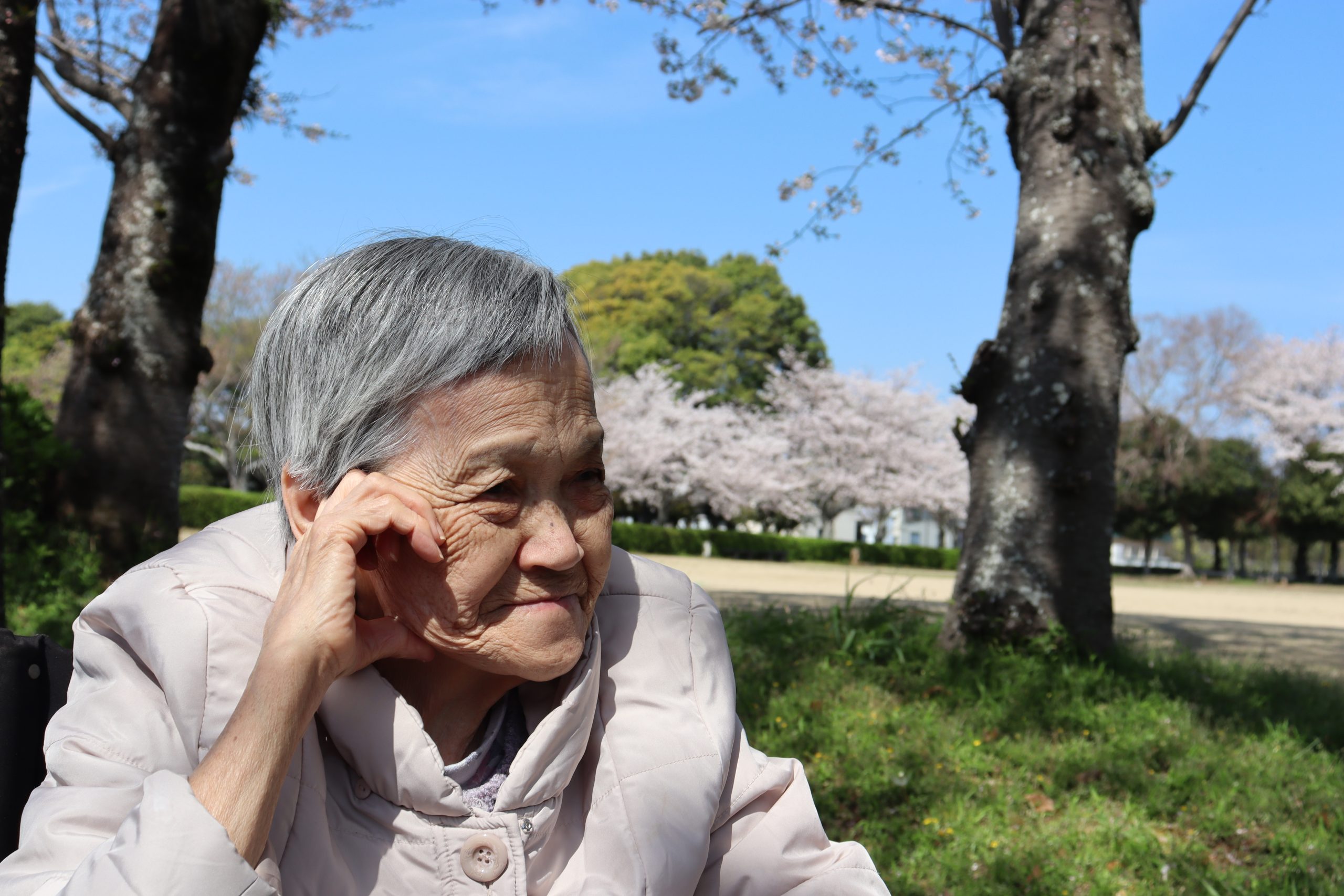 【外出】お花見ドライブ🌸4/3