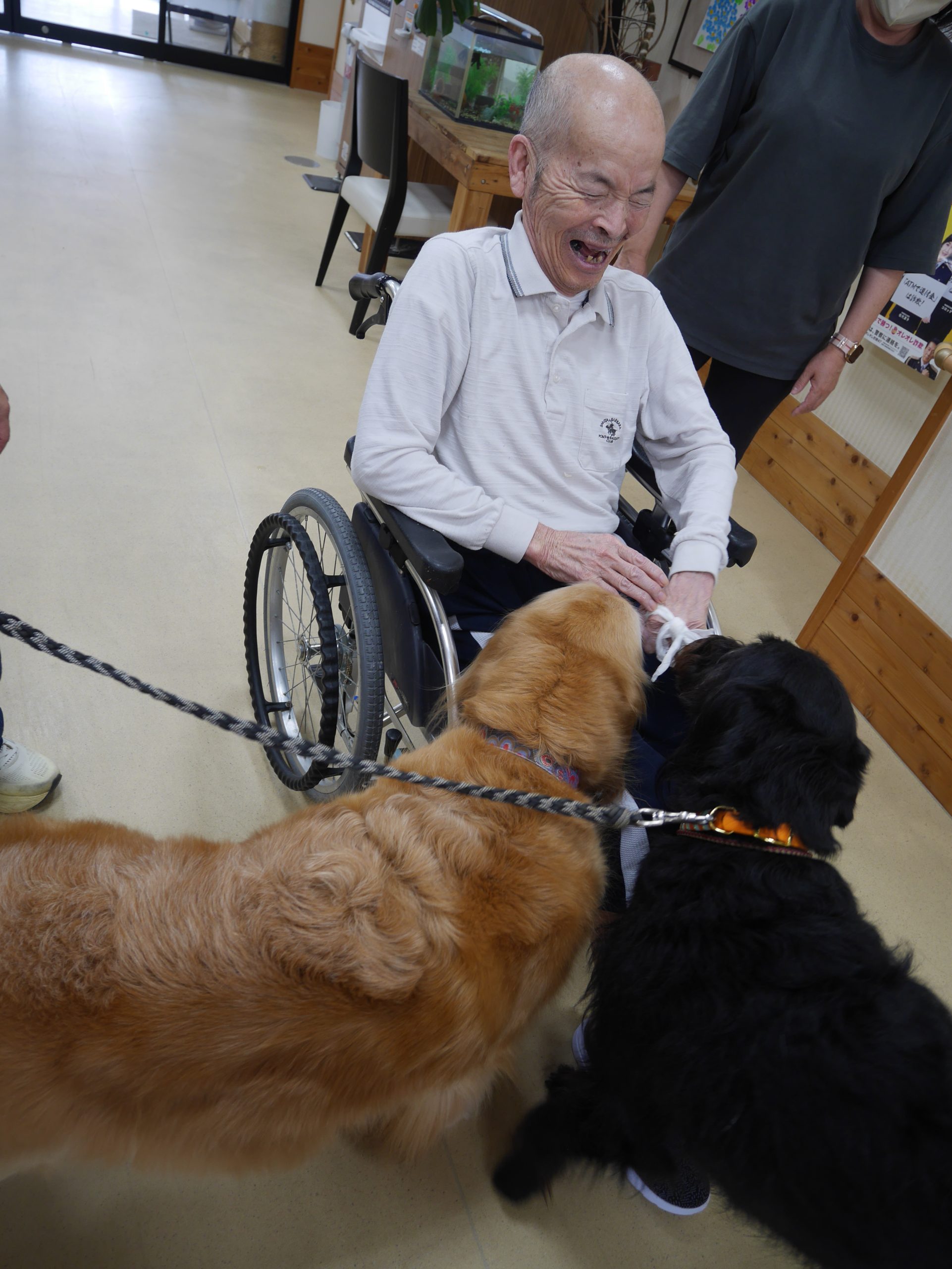 【イベント】犬とのふれあい🐶
